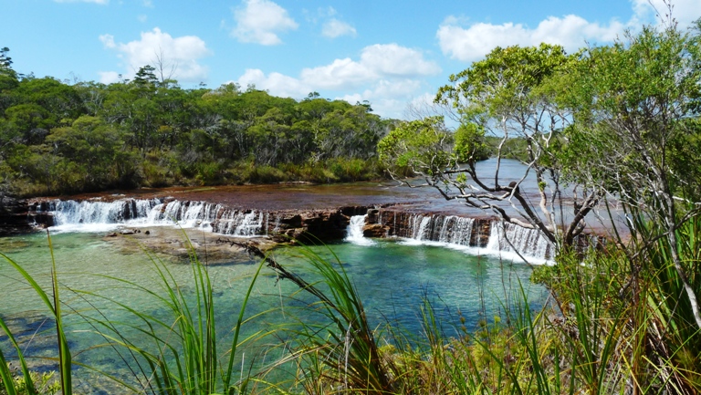 Fruit Bat Falls